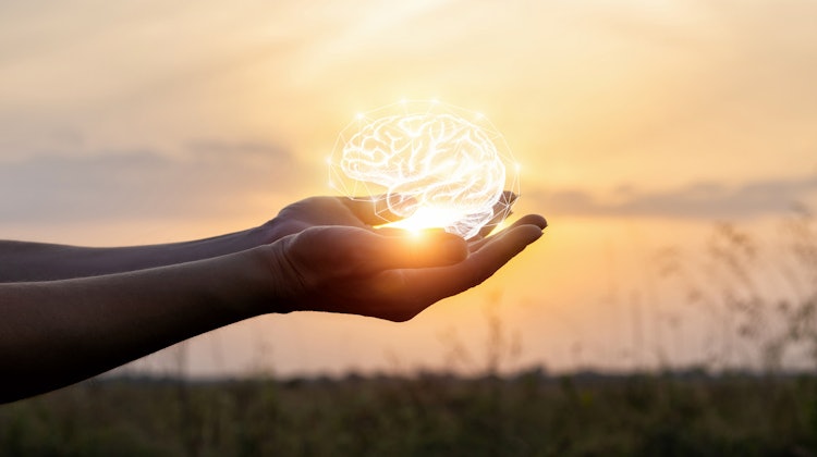 心理カウンセラーがおすすめするメンタルヘルスケア本6選 悩みやストレスに Mybest 心理カウンセラーがおすすめするメンタルヘルスケア本6選 悩みやストレスに Mybest