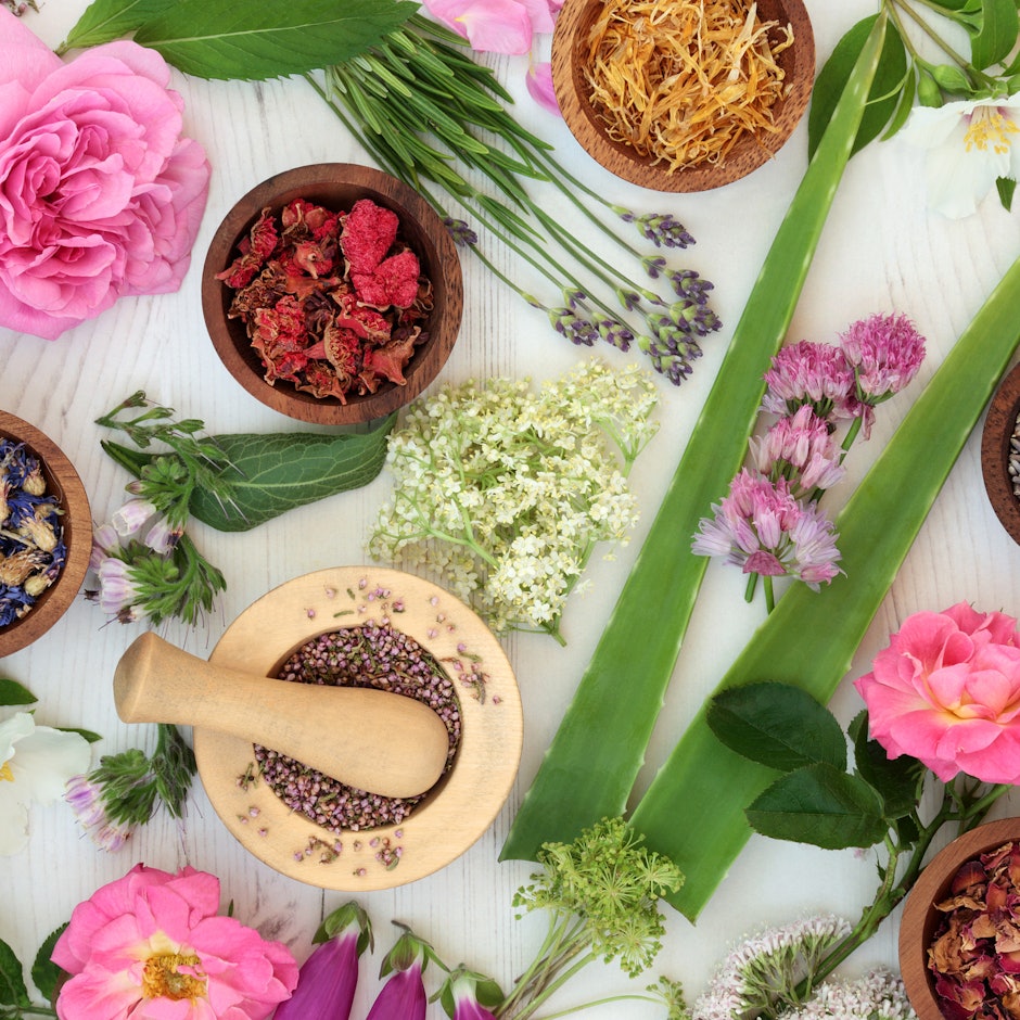 オーガニック植物療法コンサルタントが愛用するおすすめハーブグッズ9選