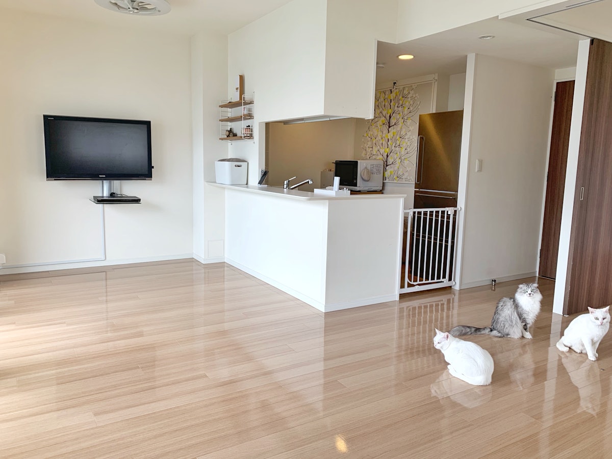 ミニマリスト主婦gomarimomoが一押しするミニマム便利アイテム11選 Mybest ミニマリスト主婦gomarimomoが一押しするミニマム便利アイテム11選 Mybest