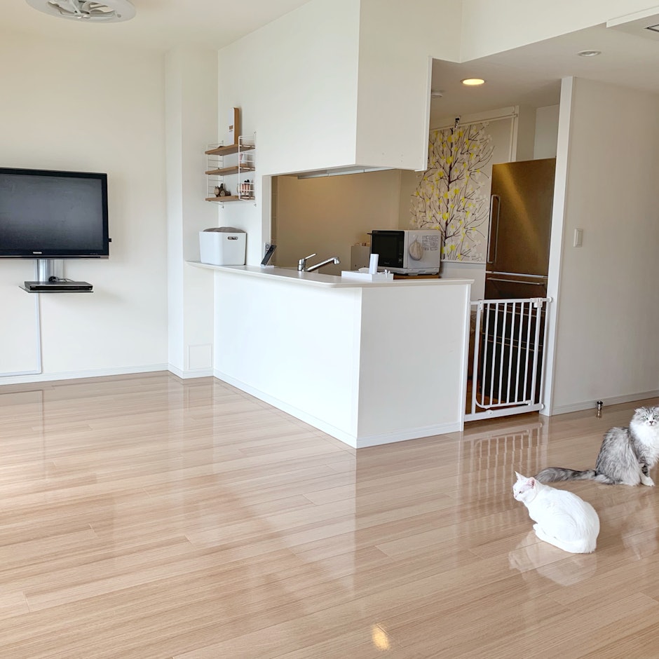 ミニマリスト主婦gomarimomoが一押しするミニマム便利アイテム11選