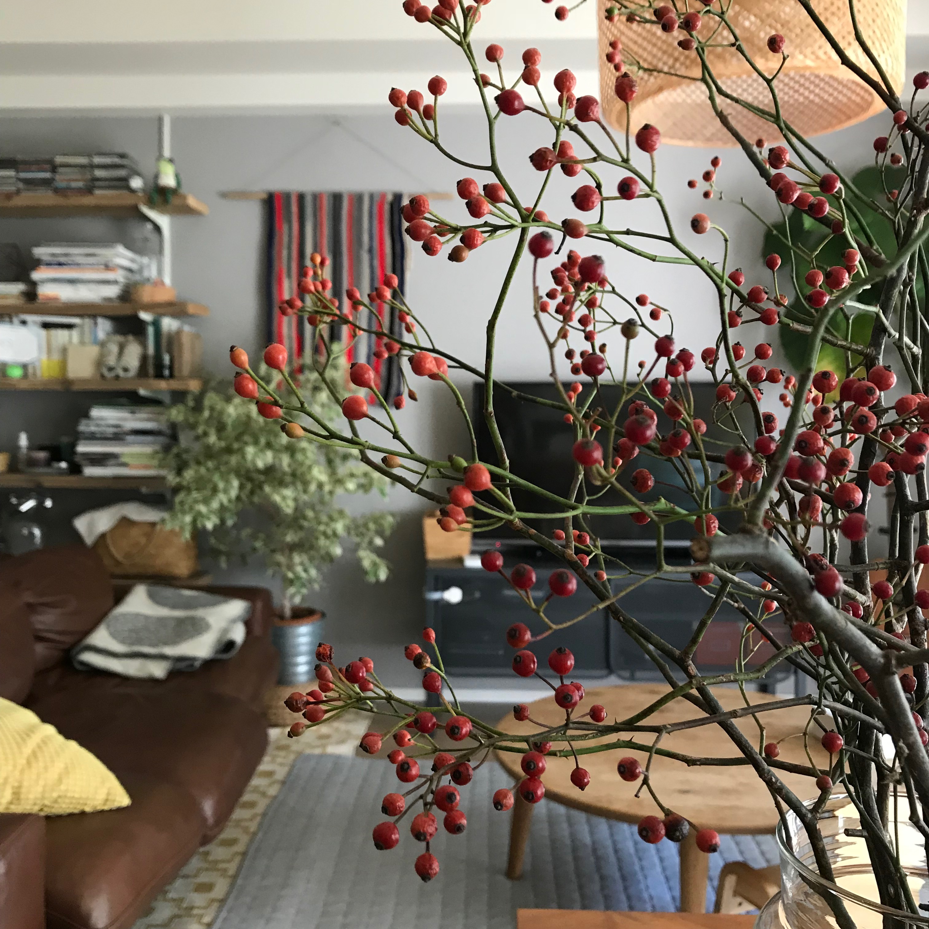 無理せずセンスよく作る！muginoheyaおすすめのお洒落な居住空間アイテム10選