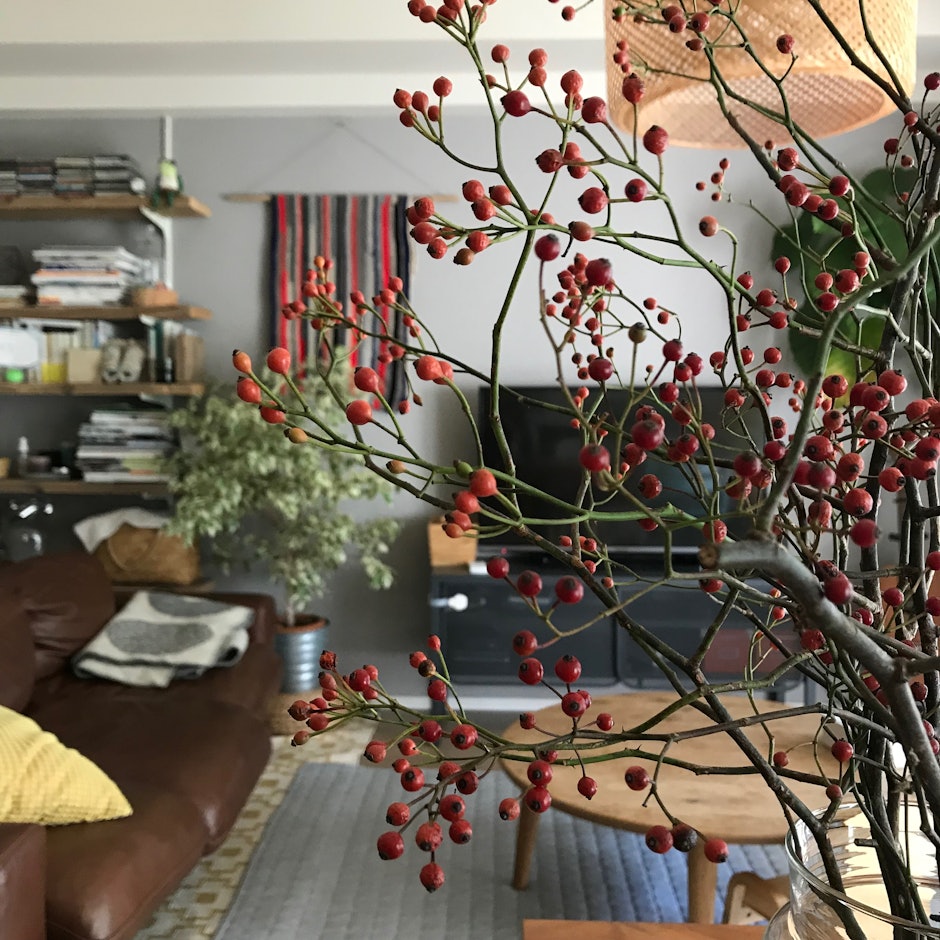 無理せずセンスよく作る!muginoheyaおすすめのお洒落な居住空間アイテム10選