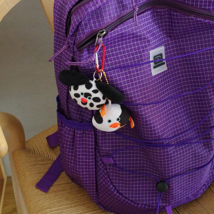 My favorite bag