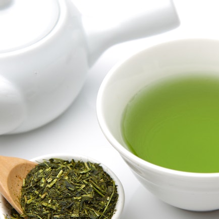 プロが愛用する日本茶アイテム6選【日本茶ソムリエ厳選】