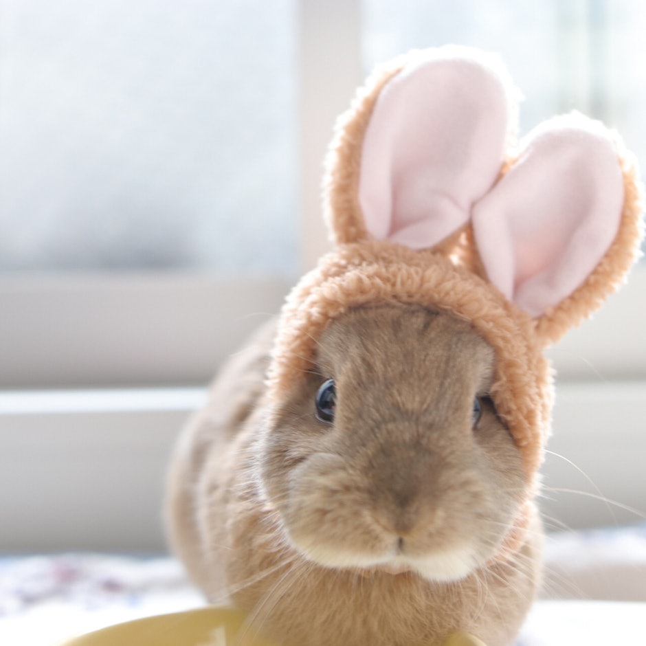 【おすすめのルームグッズ】生活の質が爆上がりする、買ってよかったリラックスグッズ16選