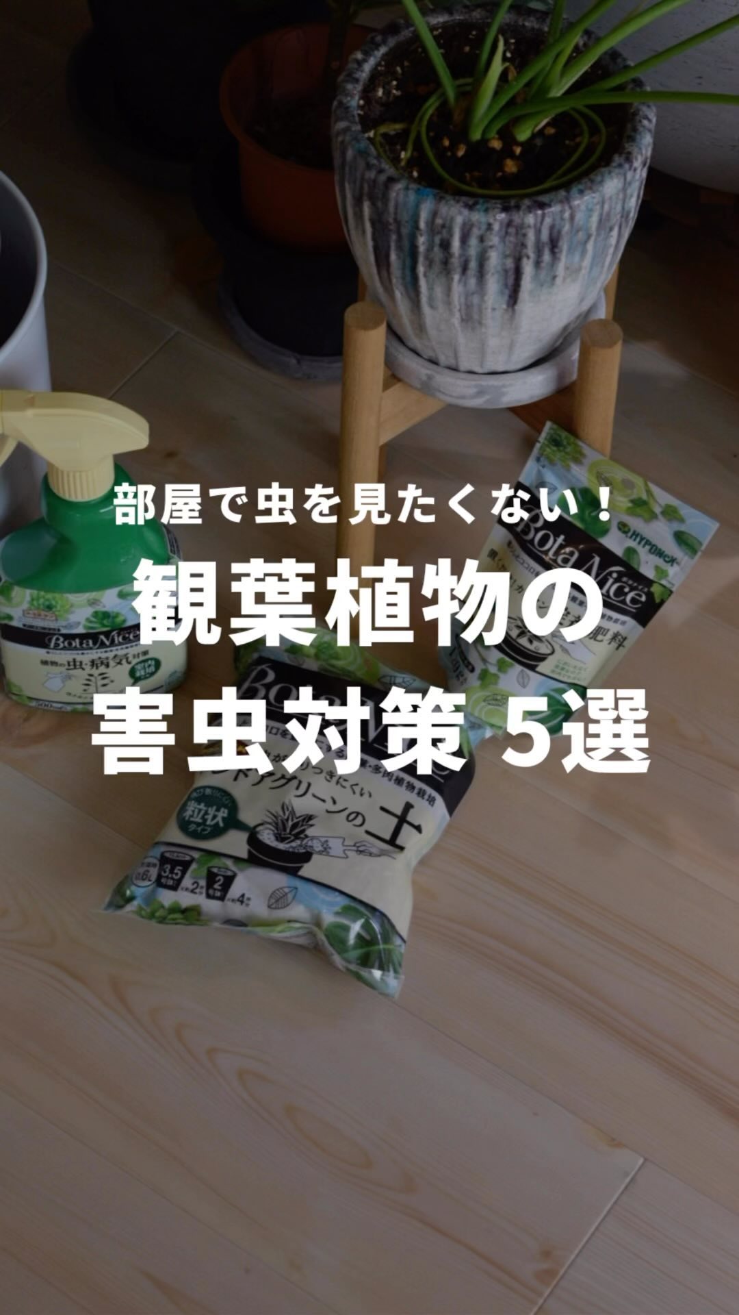 観葉植物の害虫対策5選