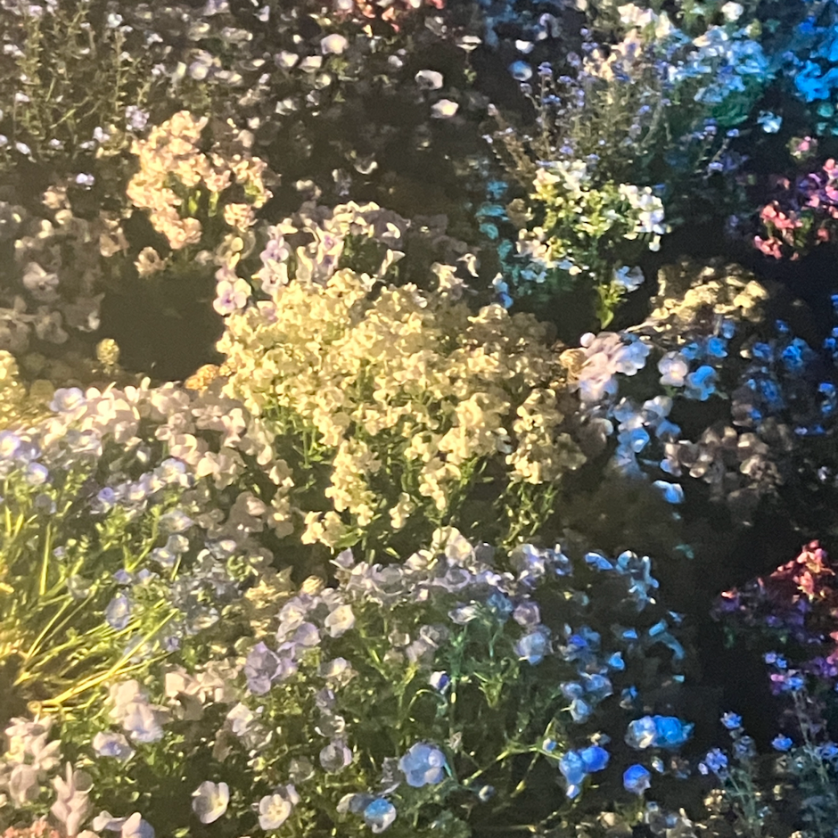 香水