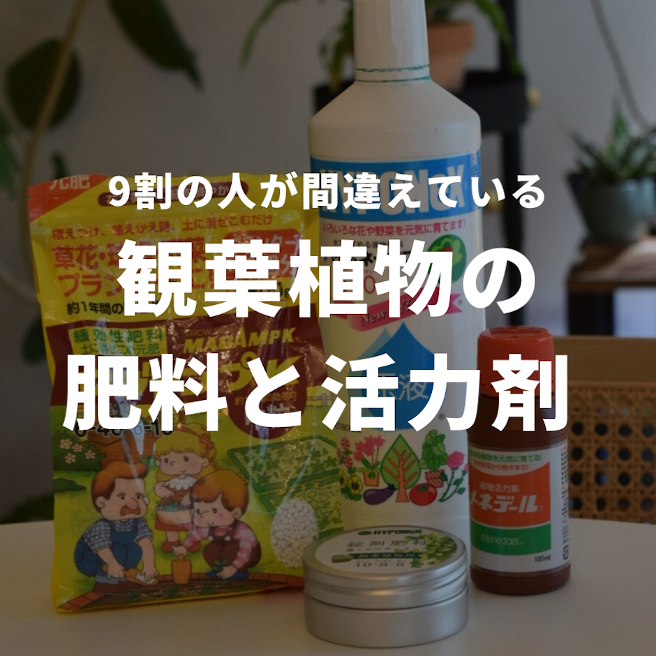 おすすめの肥料と活力剤!