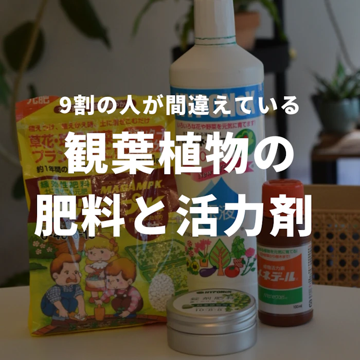 おすすめの肥料と活力剤!