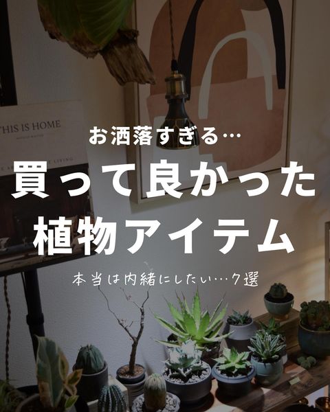  買って良かった植物アイテム