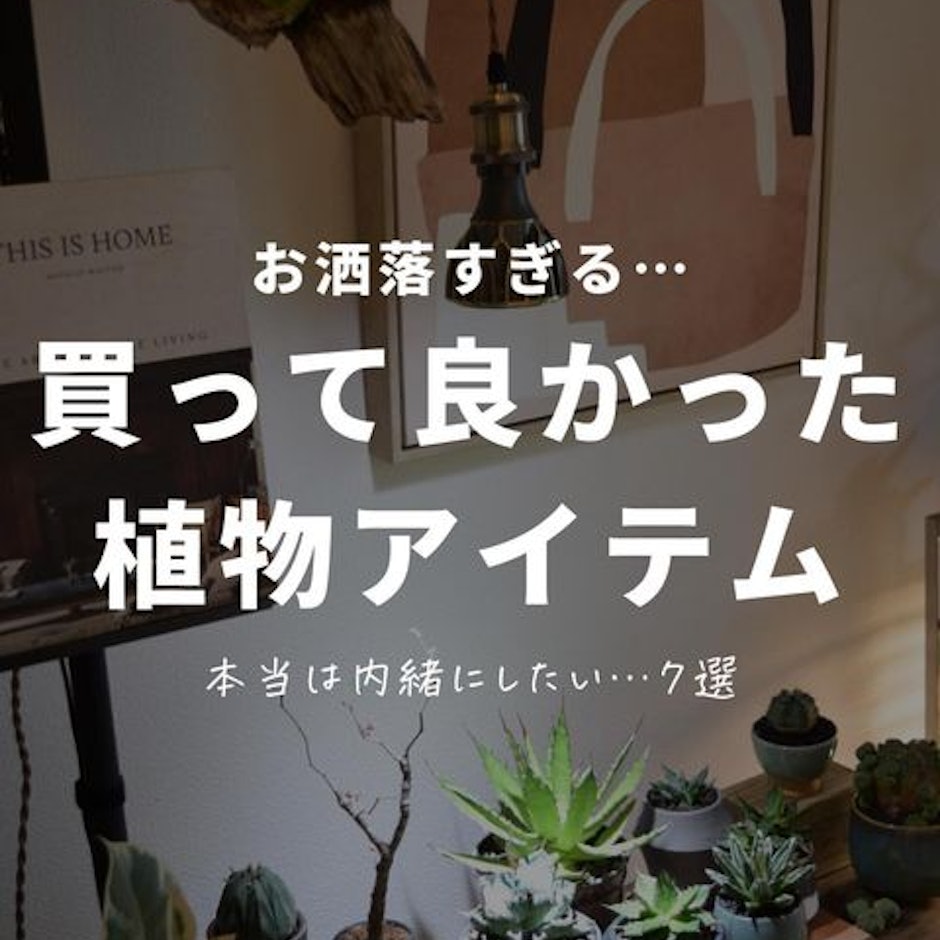 買って良かった植物アイテム