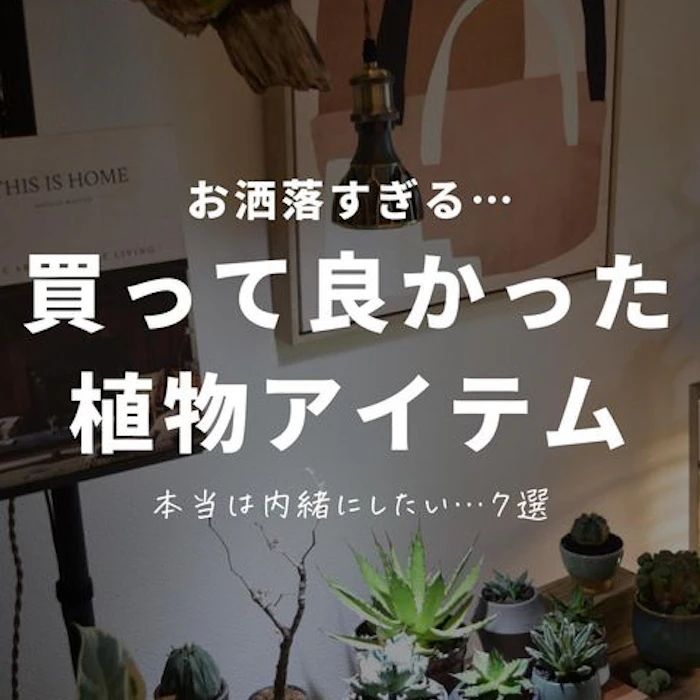 買って良かった植物アイテム