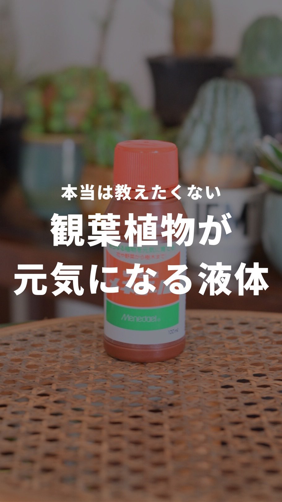 観葉植物が元気になる液体