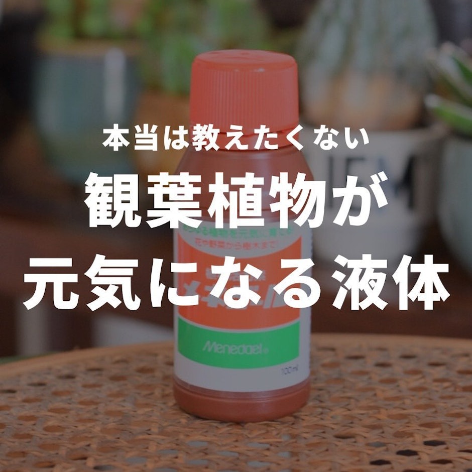 観葉植物が元気になる液体