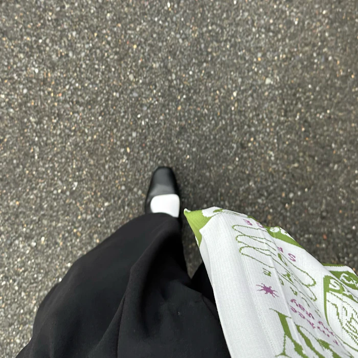 国内旅行