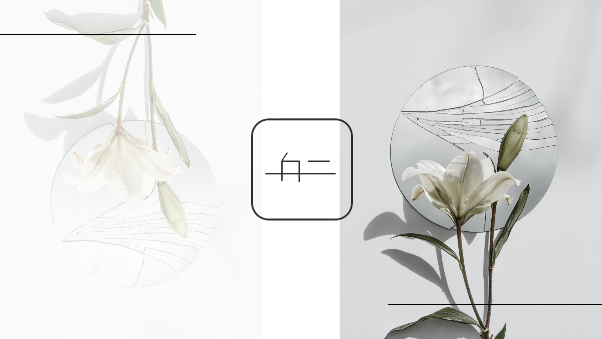 上司のあさみのライブショップ