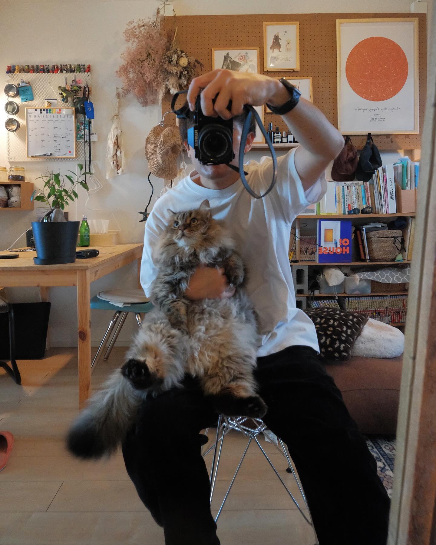 おすすめの猫グッズ