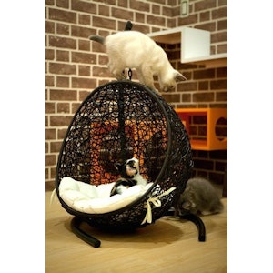 ラタン家具 ペット用ハンギングチェアー 1枚目