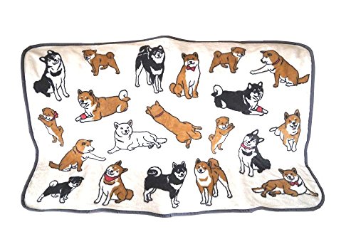 sunny world やわらかブランケット  1枚目