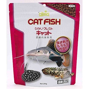 ヒカリ ひかりクレスト キャット 1枚目