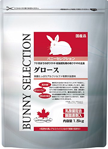 イースター バニーセレクション グロース 1枚目