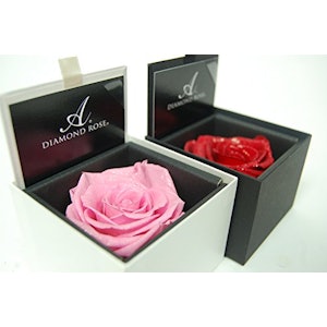 AMOROSA プリザーブドフラワー ダイアモンドローズ ピンク 1枚目