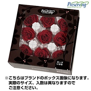 大地農園 プリザーブドフラワー ローズいずみ カーニバルルージュ 1枚目