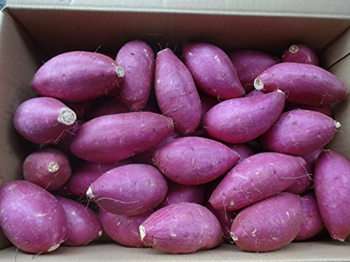 水郷佐原4代目島矢 シルクスウィート ねっとり甘い さつま芋 1枚目