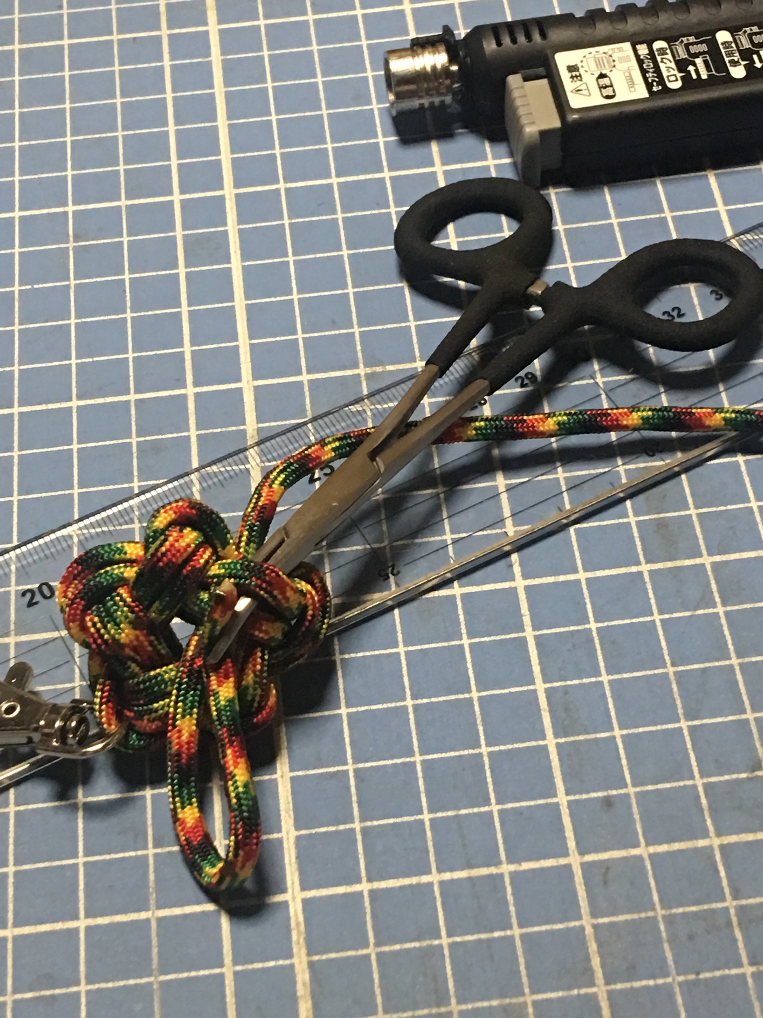 Sanlike フォーセップ  1枚目