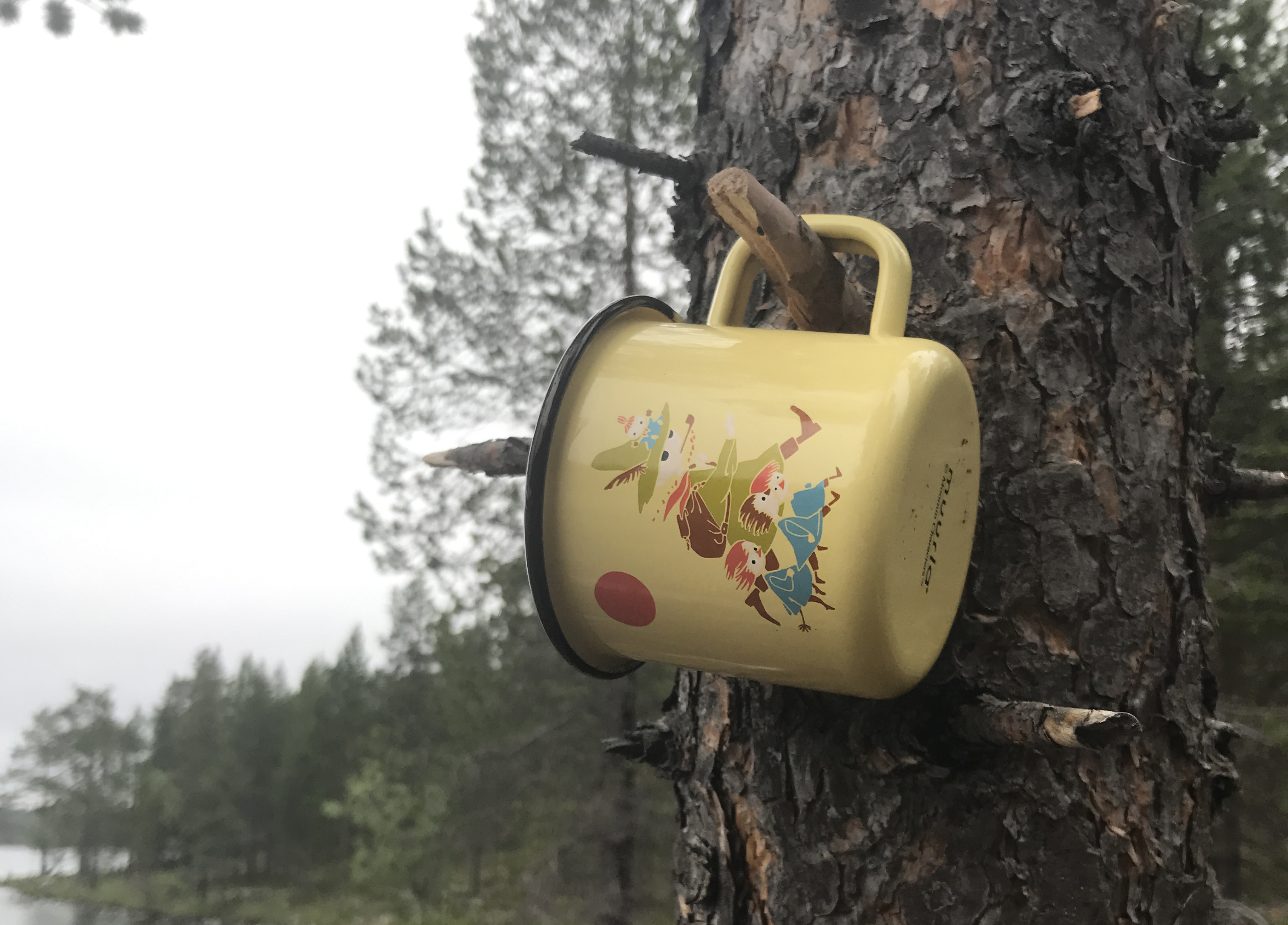 Moomin Muurla ムールラ  ホーローマグ 1枚目