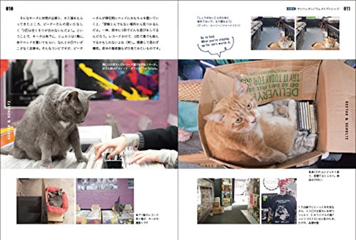 仁平綾 ニューヨークの看板ネコ 4枚目