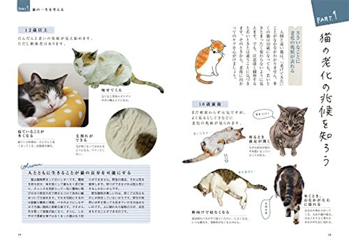 加藤由子 猫とさいごの日まで幸せに暮らす本 3枚目
