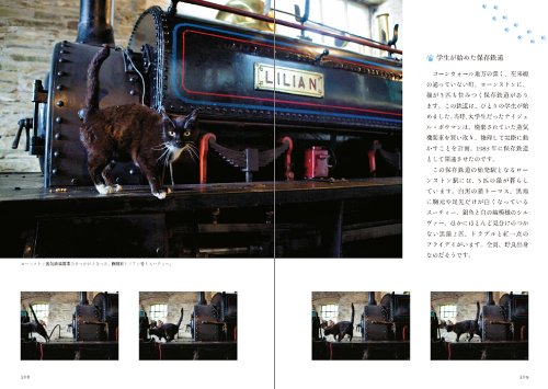 石井理恵子 鉄道ねこ 英国の駅舎に暮らす猫を訪ねて 2枚目