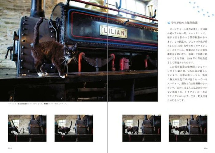 石井理恵子 鉄道ねこ 英国の駅舎に暮らす猫を訪ねて 2枚目