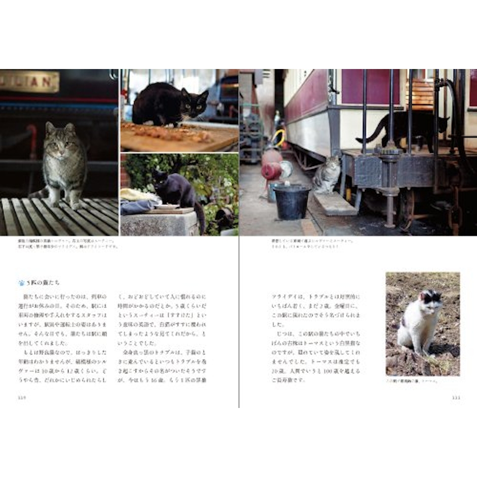 石井理恵子 鉄道ねこ 英国の駅舎に暮らす猫を訪ねて 4枚目