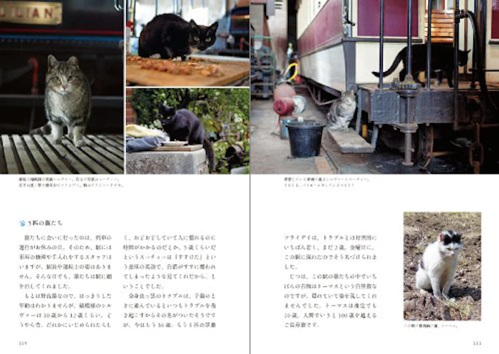 石井理恵子 鉄道ねこ 英国の駅舎に暮らす猫を訪ねて 4枚目