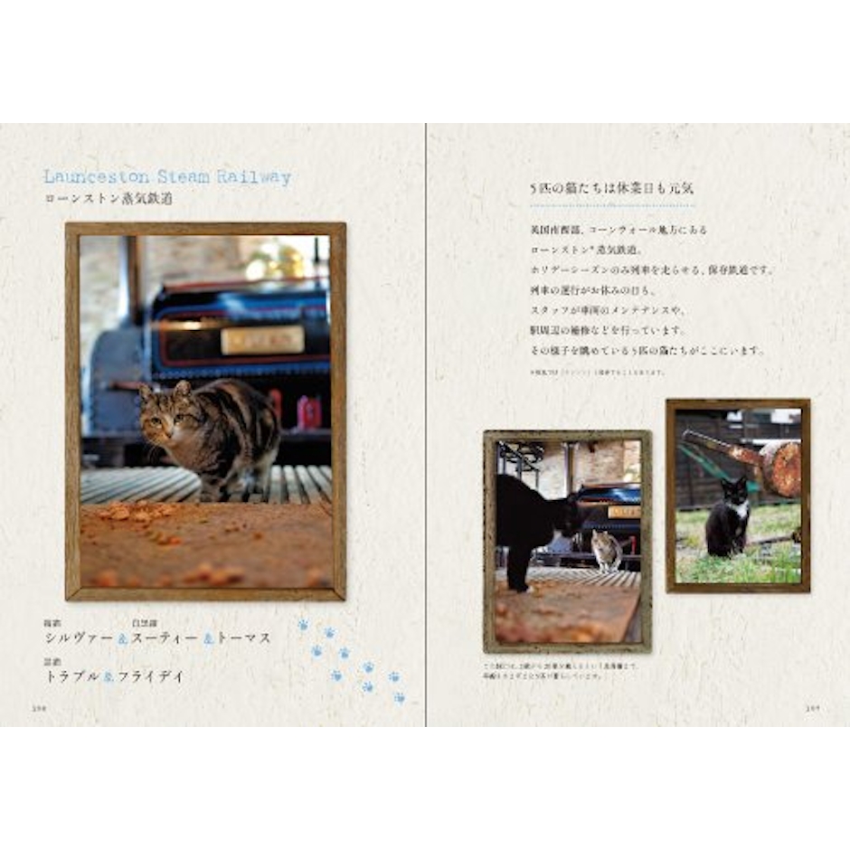 石井理恵子 鉄道ねこ 英国の駅舎に暮らす猫を訪ねて 5枚目