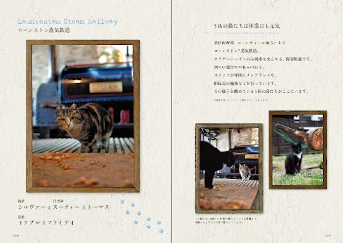 石井理恵子 鉄道ねこ 英国の駅舎に暮らす猫を訪ねて 5枚目