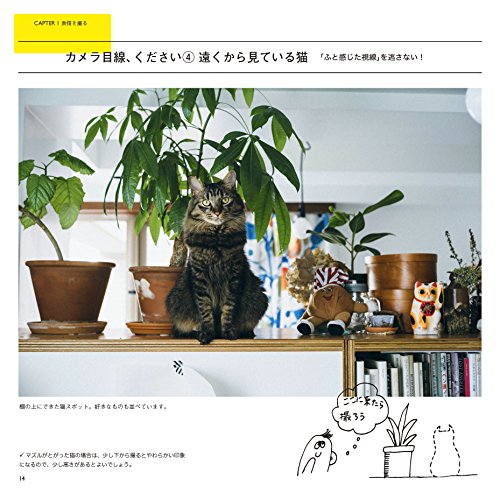 清水奈緒 猫の撮リセツ 2枚目