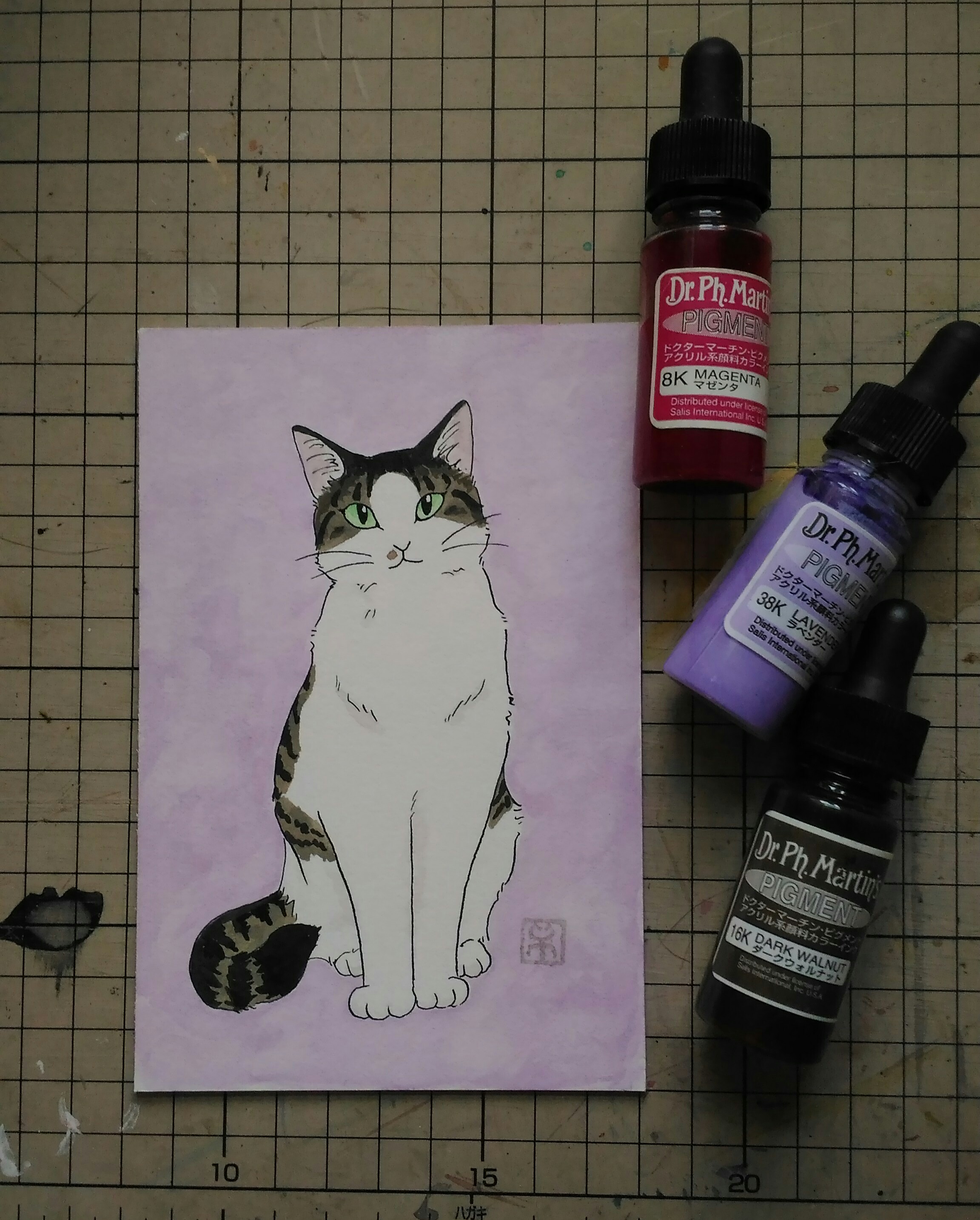 Salis International ドクターマーチンピグメント 1枚目