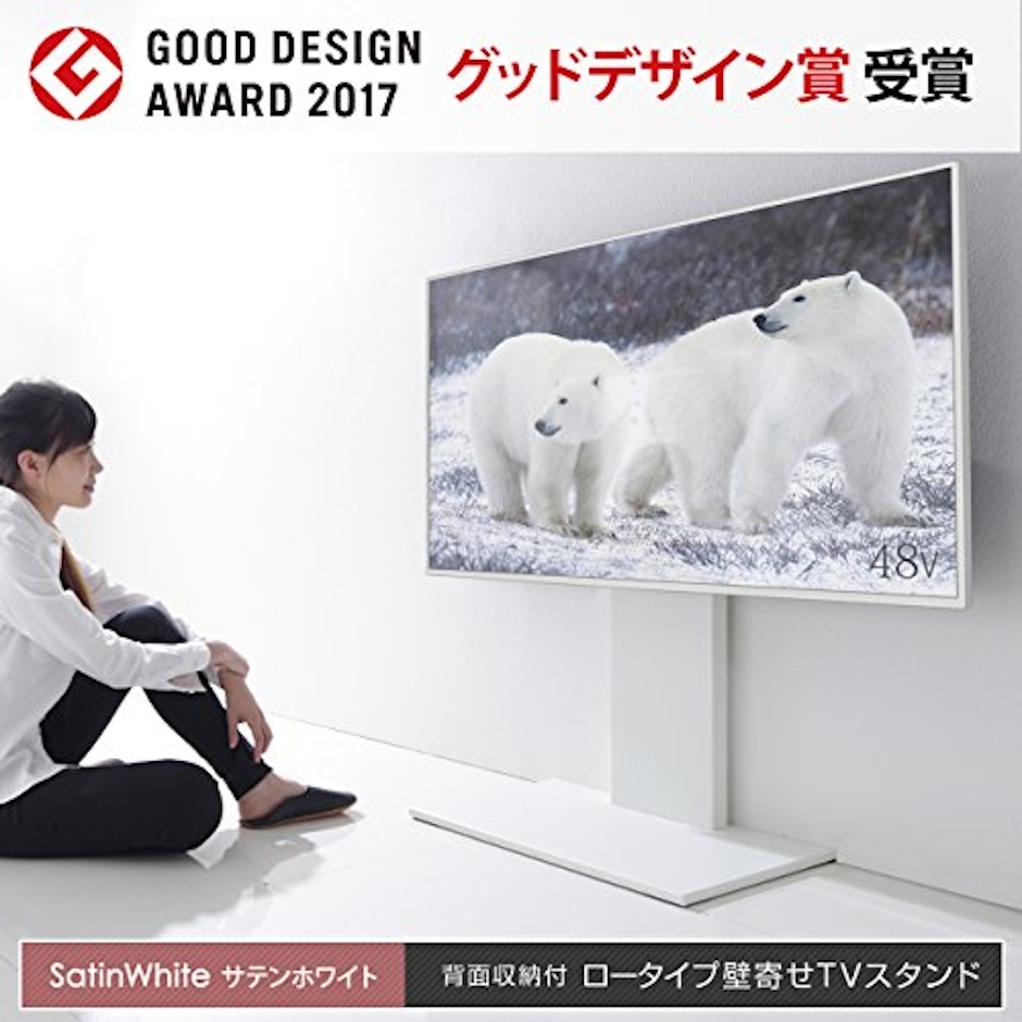 ナカムラ EQUALS WALL INTERIOR TV STAND V2 LOW TYPE 1枚目