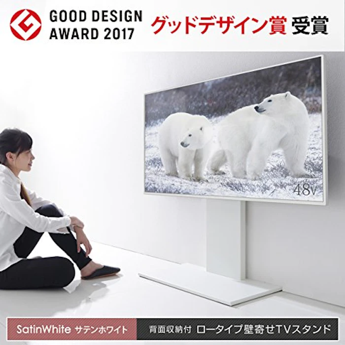ナカムラ EQUALS WALL INTERIOR TV STAND V2 LOW TYPE 1枚目