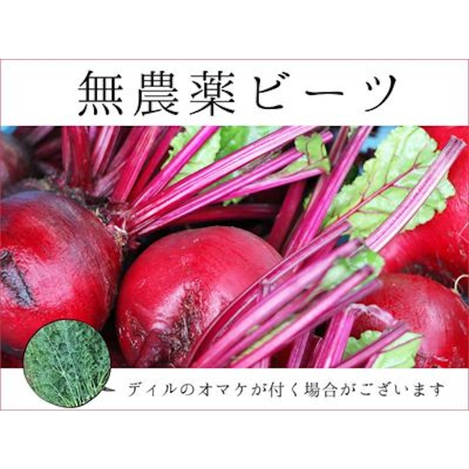 宮古島ぱりぱり市場 無農薬 宮古島ビーツ 2kg 1枚目
