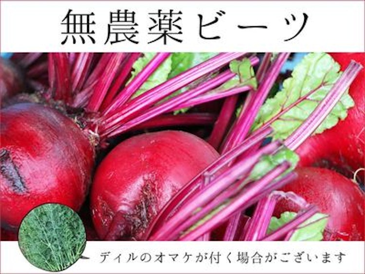 宮古島ぱりぱり市場 無農薬 宮古島ビーツ 2kg 1枚目