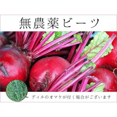 宮古島ぱりぱり市場 無農薬 宮古島ビーツ 2kg 1枚目