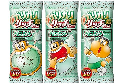 赤城乳業 ガリガリ君リッチ チョコミント 3枚目