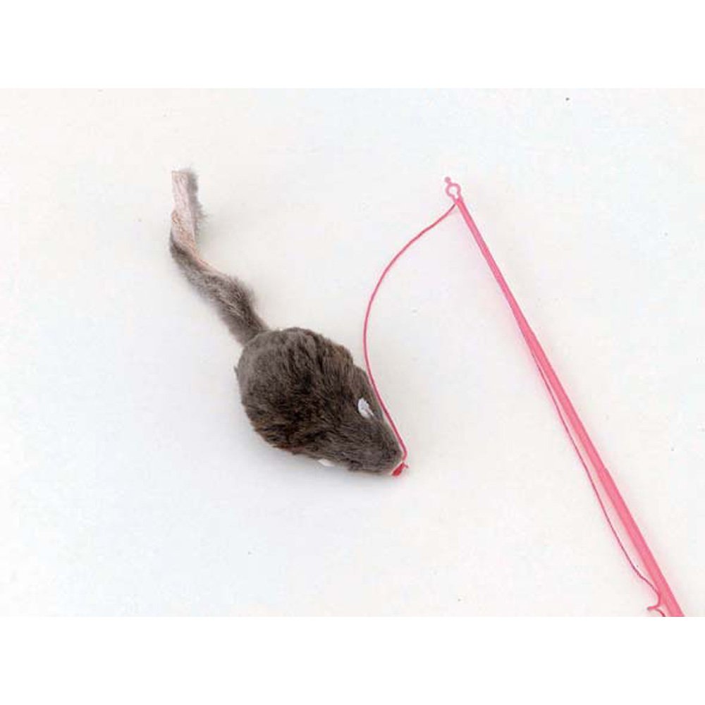 ドギーマンハヤシ じゃれ猫 チューチュー 3枚目