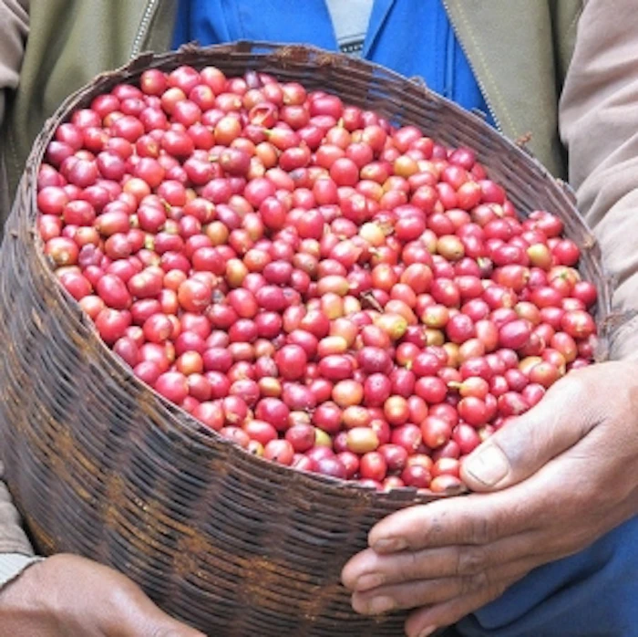 丸山珈琲 茜すみれ 100g 1枚目