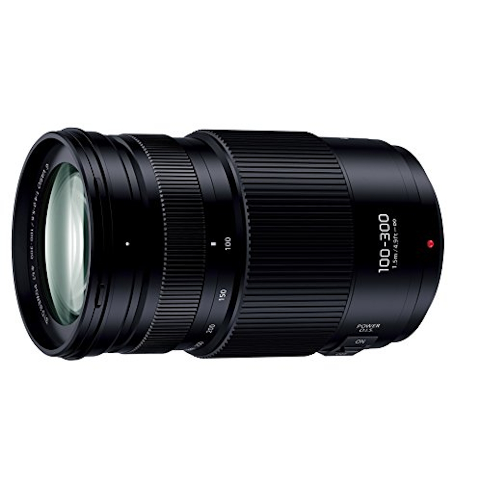 Panasonic LUMIX G VARIO 100-300mm/F4.0-5.6 II /POWER O.I.S. 1枚目