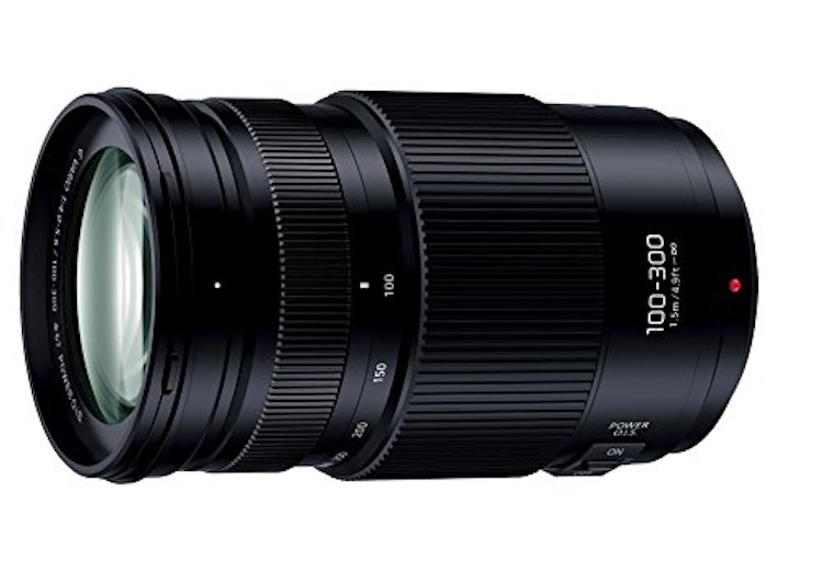 Panasonic LUMIX G VARIO 100-300mm/F4.0-5.6 II /POWER O.I.S. 1枚目